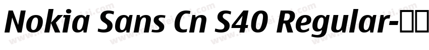 Nokia Sans Cn S40 Regular字体转换